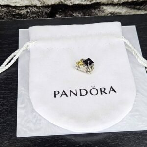 Libro de Graduación Charm Pandora